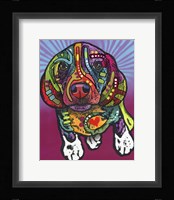 Archie Fine Art Print