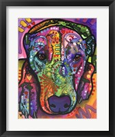 Kaiah Fine Art Print