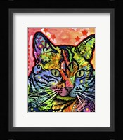 Cat Fine Art Print