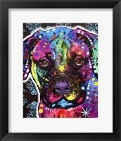 Young Bull Mastiff Fine Art Print