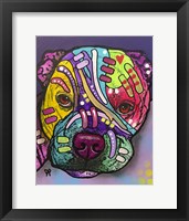 Rex Fine Art Print