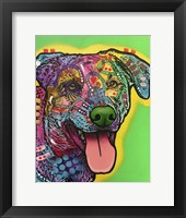 HawkEye Fine Art Print