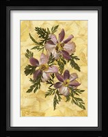 Anemones Fine Art Print