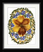 Dried Flowers 2 Fine Art Print