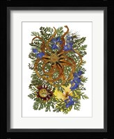 Flower Fantasy 37 Fine Art Print