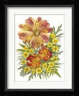 Dried Flowers 5 Fine Art Print