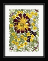 Dried Flowers 7 Fine Art Print