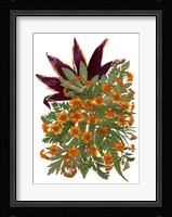 Dried Flowers 9 Fine Art Print