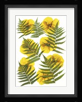 Dried Flowers 11 Fine Art Print