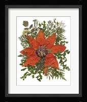 Dried Flowers 17 Fine Art Print