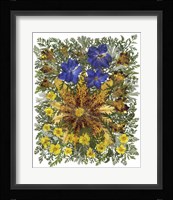 Dried Flowers 26 Fine Art Print