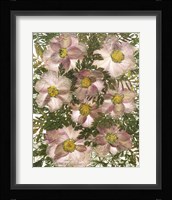 Dried Flowers 32 Fine Art Print