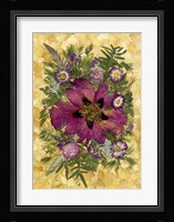 Dried Flowers 33 Fine Art Print