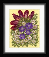 Dried Flowers 35 Fine Art Print