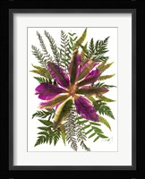 Dried Flowers 40 Fine Art Print