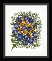 Dried Flowers 43 Fine Art Print