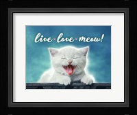 Live Love Meow Fine Art Print