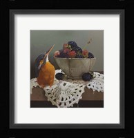 Kingfisher Fine Art Print