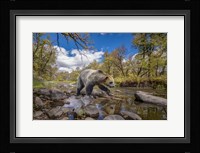 Grizzly Bear Creek Fine Art Print