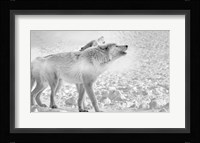 On Frozen Grounds Fine Art Print