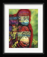 Hanging around Fine Art Print