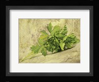 Prezzemolo Fine Art Print