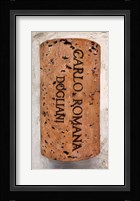 Carlo Romana Fine Art Print