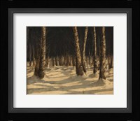 Neve Di Notte Nel Bosco Fine Art Print