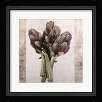 Carciofoni Fine Art Print