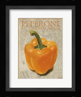 Peperone Di Carmagnola Fine Art Print