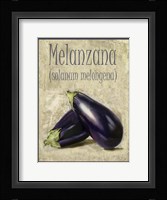 Melanzana Solanum Melongena Fine Art Print