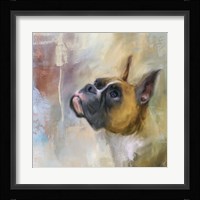Flashy Fawn Boxer Fine Art Print