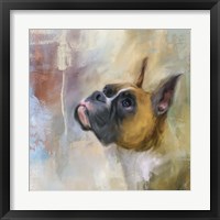 Flashy Fawn Boxer Fine Art Print