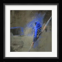 Royal One Fine Art Print