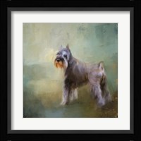 Schnauzer On Patrol Fine Art Print