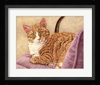 Punky Mapes Fine Art Print