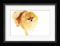 I am Here Framed Print