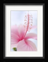 Invitation Into the Light Fine Art Print