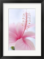 Invitation Into the Light Fine Art Print