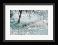 Pond Under the Shadow Willow Fine Art Print