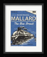 Mallard Fine Art Print