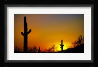 Desert Sunset Fine Art Print