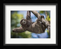 Just Hanging Around Fine Art Print
