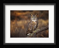 Look Who's There Fine Art Print