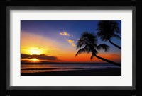Palm Trees Sunset Framed Print