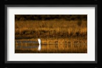 Rest Stop Fine Art Print