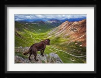 A Dog On An Adventure Fine Art Print