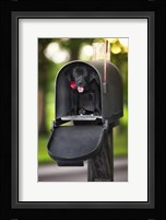 Black Lab Special Delivery Fine Art Print