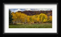 Colorado Farm Framed Print