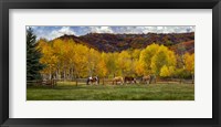 Colorado Farm Framed Print
